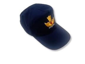 Topi